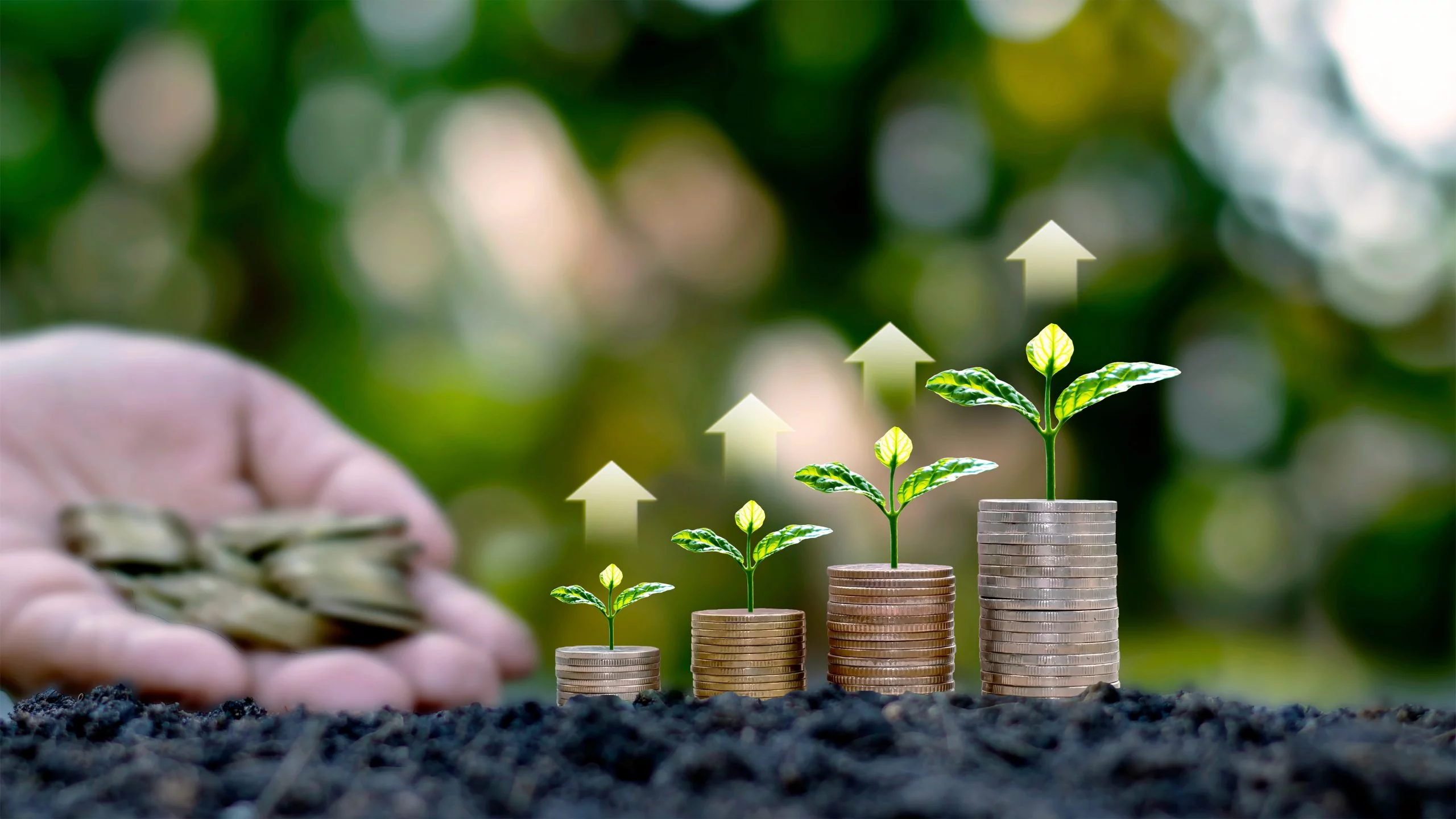 Agriculture Loans V-pay Finance